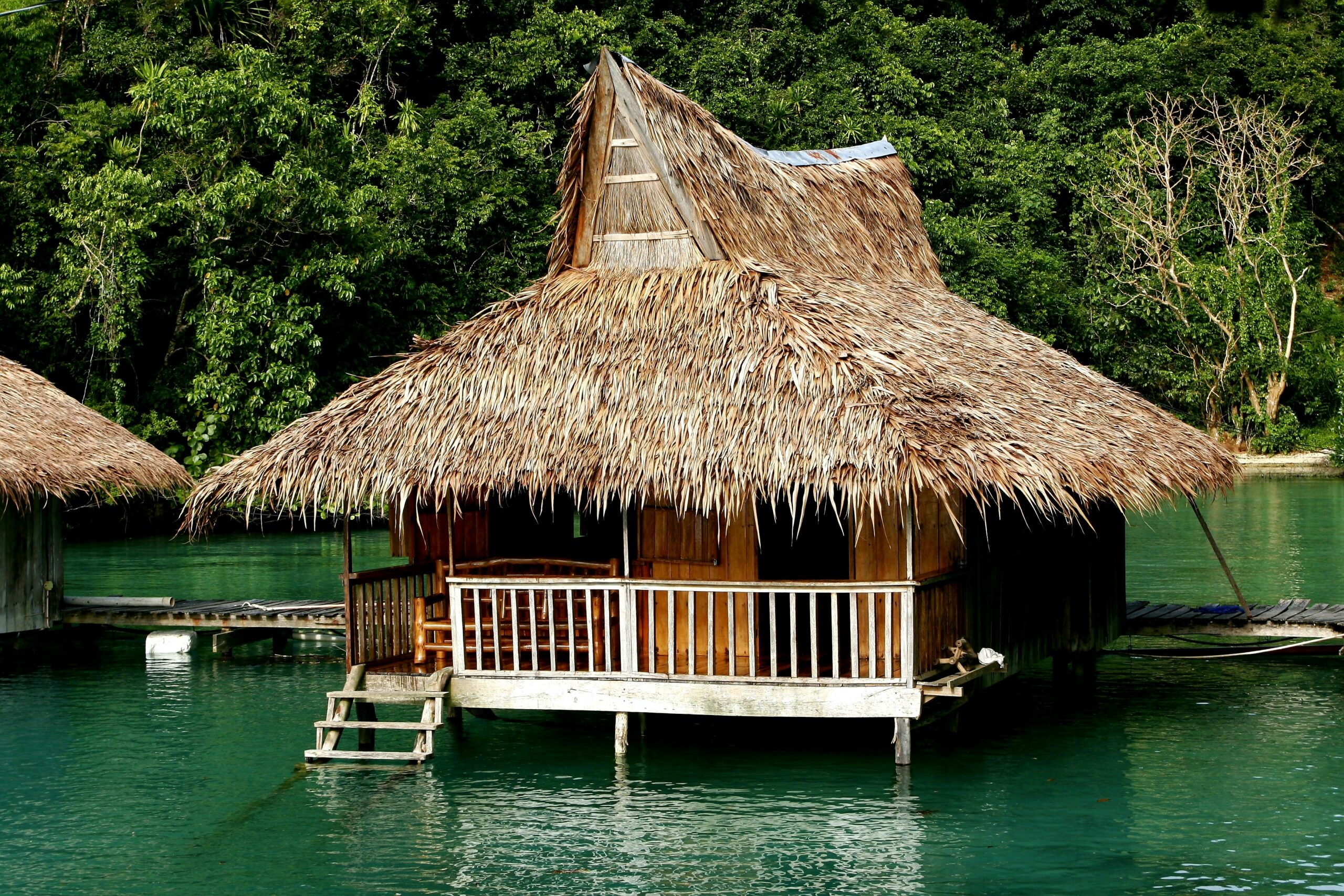 jet-kim-F3J07eW9kjM-unsplash (1)